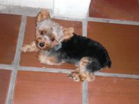 cimg0342