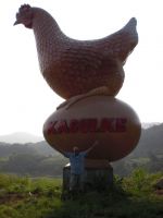 cimg0343