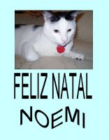 noeminatalgringo